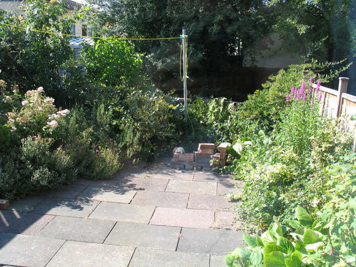 photo of garden