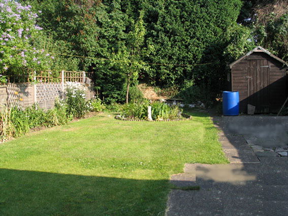 photo of garden